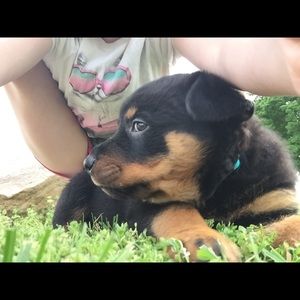 Meet your Posher, Cherie